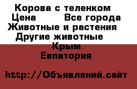 Корова с теленком › Цена ­ 69 - Все города Животные и растения » Другие животные   . Крым,Евпатория